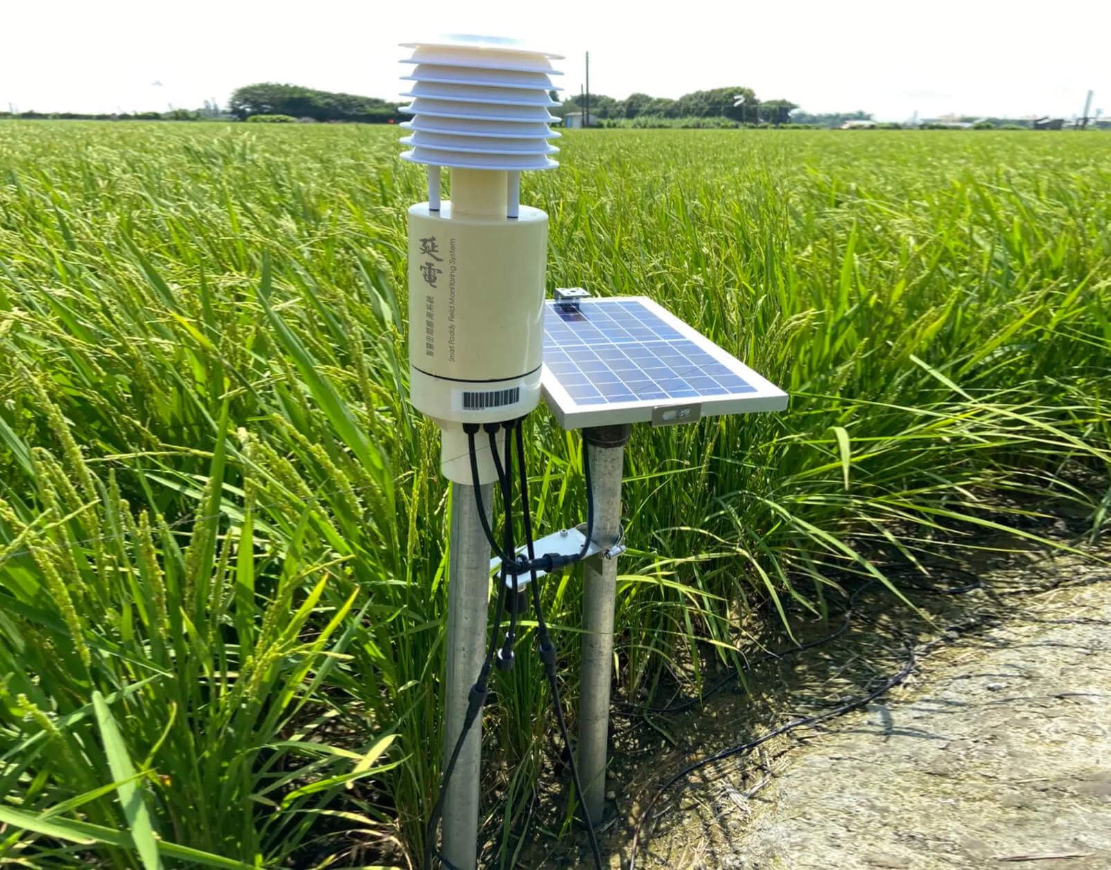 小型氣象站選用太陽能供電即可免配電施工