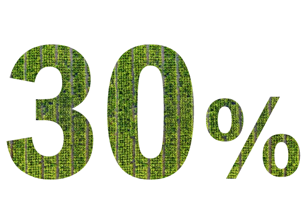 省下水電肥料成本30%