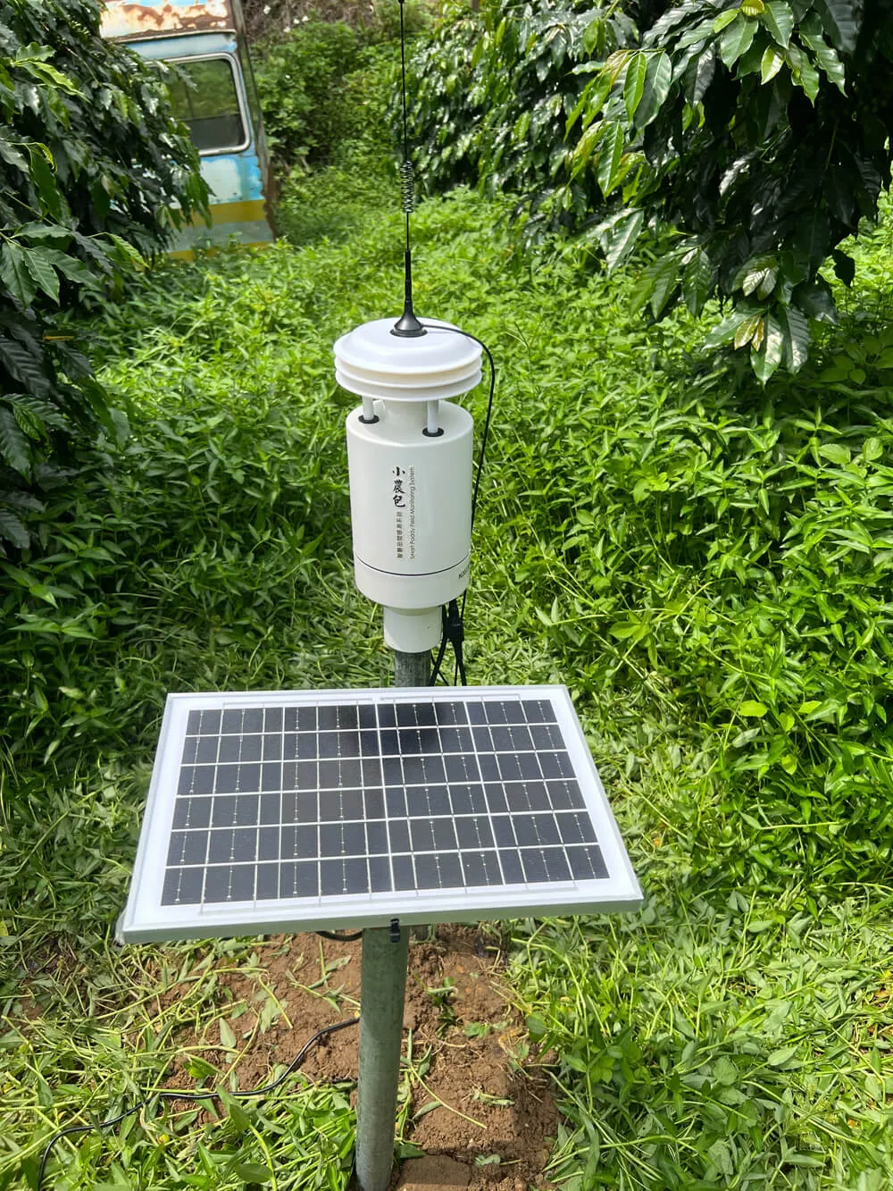 延電 咖啡農場 小型氣象站 日照 溫溼度監控