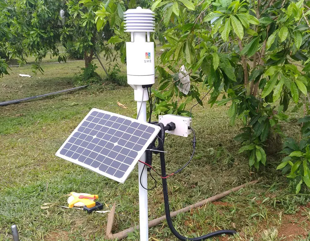 延電 小型氣象站 校園食農教育