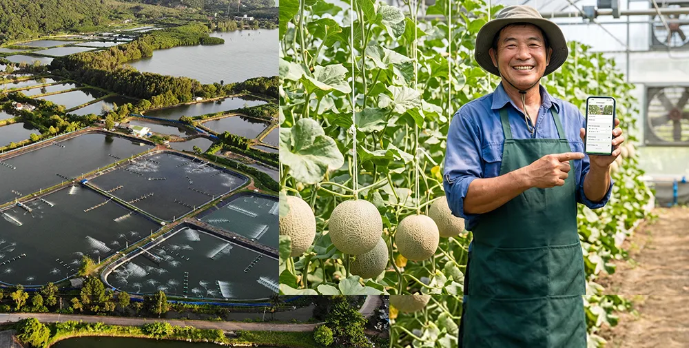 延電智慧農業田間監控應用情境