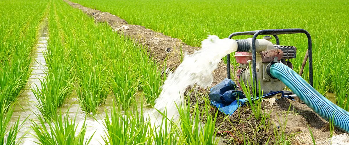 自動灑水系統，土壤濕度感測器、微氣象站與雲端平台串接，協助農場依據數據判斷澆水時機、灌溉區域與水量。