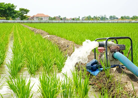 自動灑水系統是什麼？別再憑感覺澆水，讓灌溉依環境自動啟停