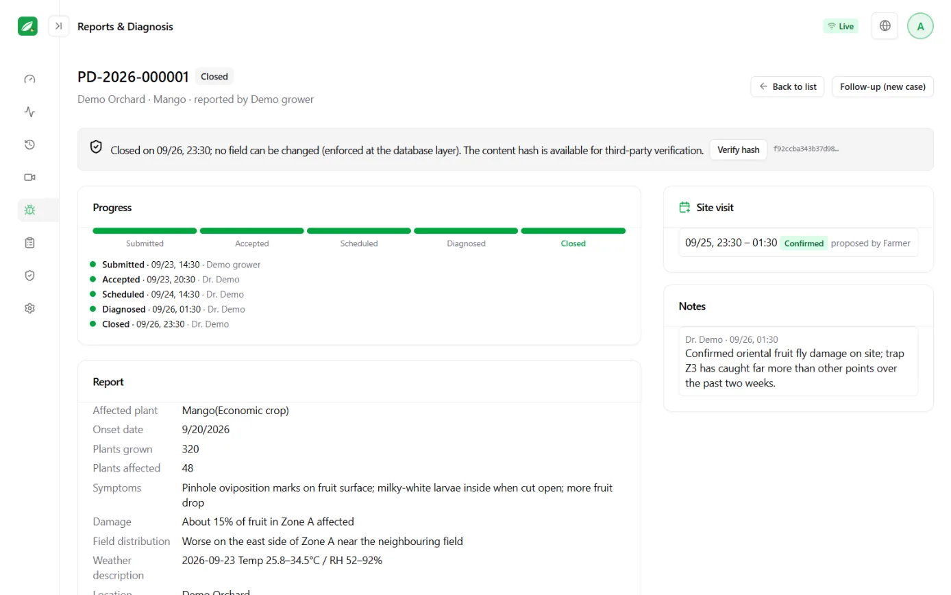 Diagnosis case screen: case progress bar, report details and diagnosis report