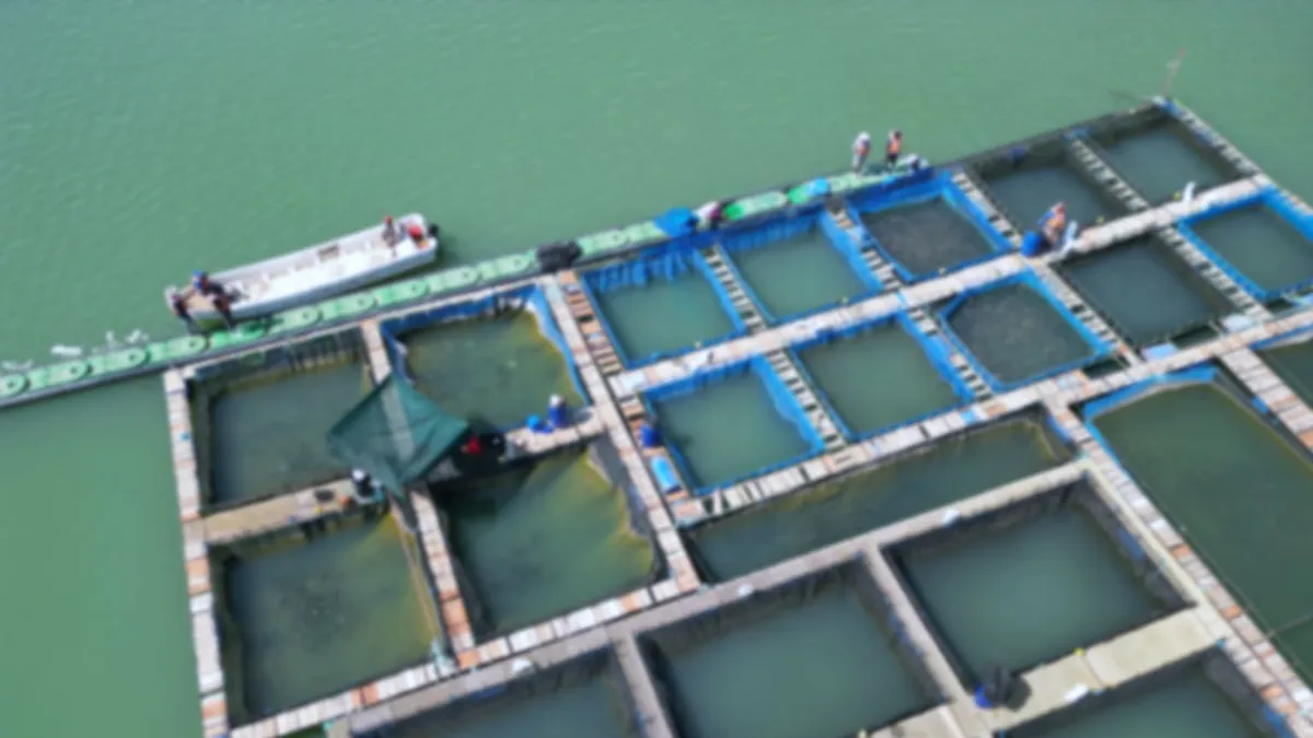 水產養殖魚塭空拍：多池分散管理的養殖場域