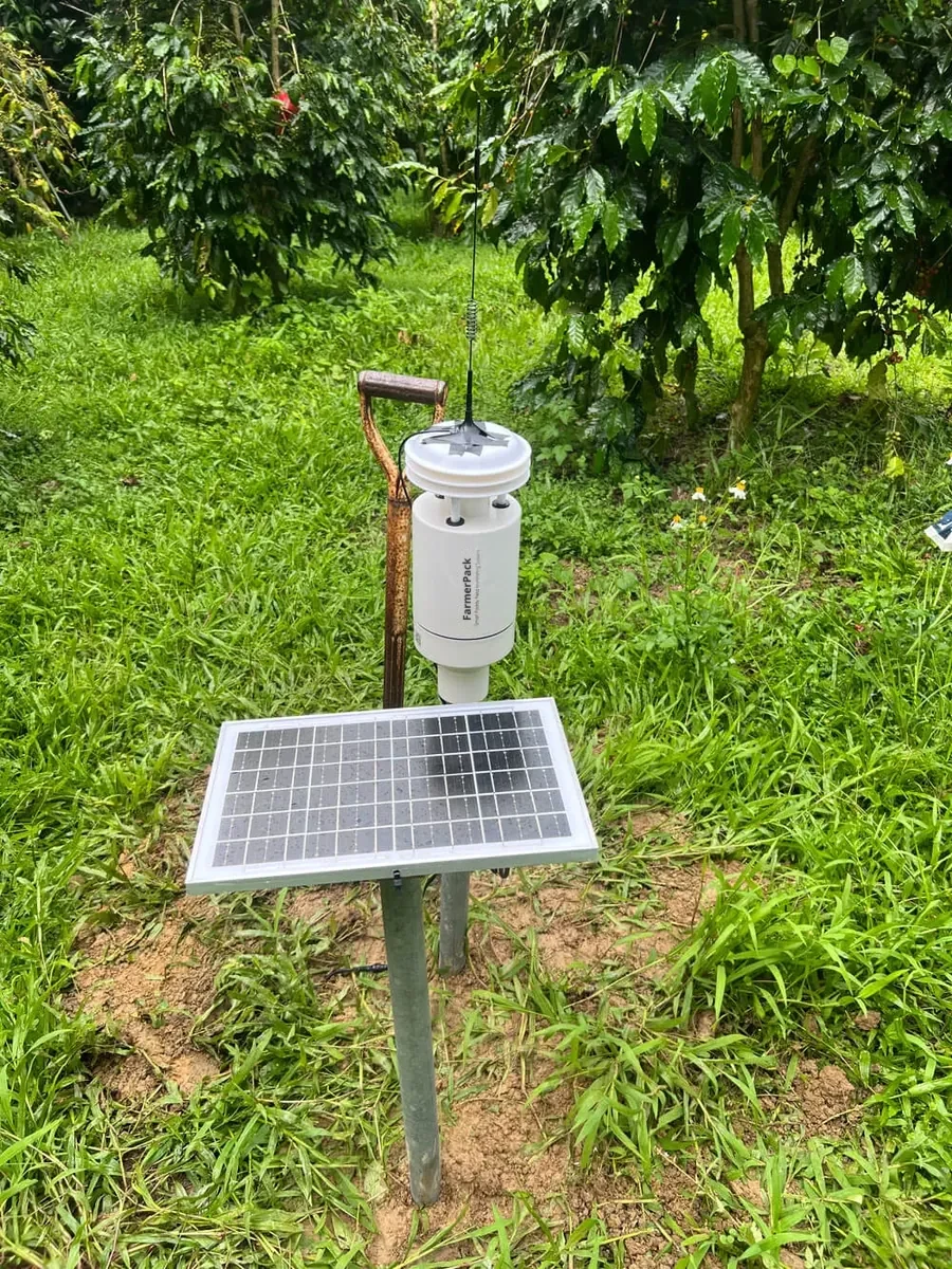 FarmerPack em um cafezal | Sensor de molhamento foliar